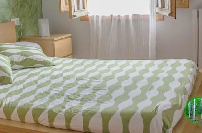Hostal Iguer